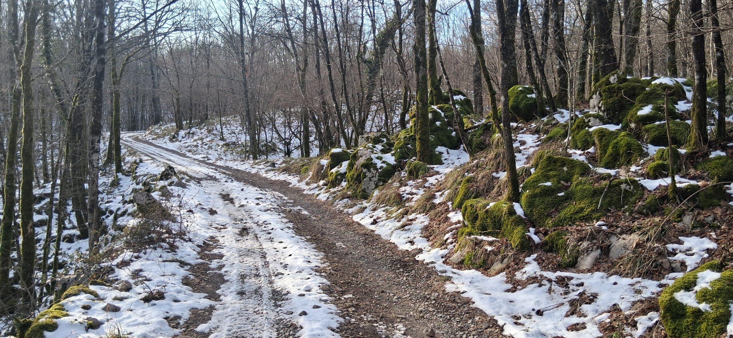 Sesija u prirodi